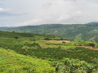 Xem ảnh 3