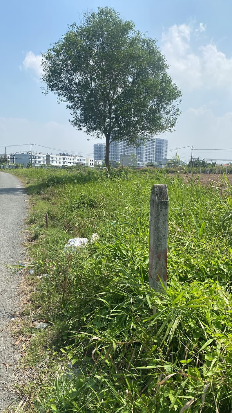 Bán BĐS là đất trống tại mặt tiền đường Trường Lưu, thành phố Hồ Chí Minh — ảnh 2 trên 5