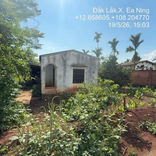 Xem ảnh 1
