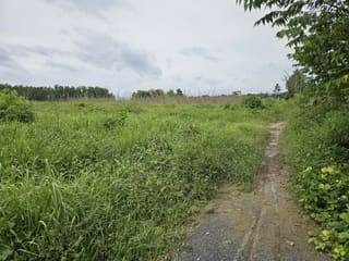 Xem ảnh 4