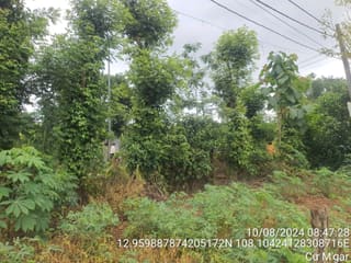 Xem ảnh 3