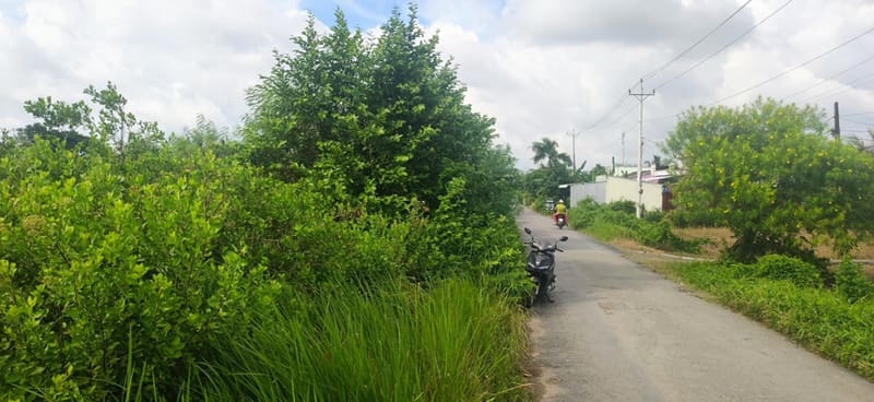 TS204_Bán đất tại Thị xã Vĩnh Châu, Sóc Trăng — ảnh 2 trên 5