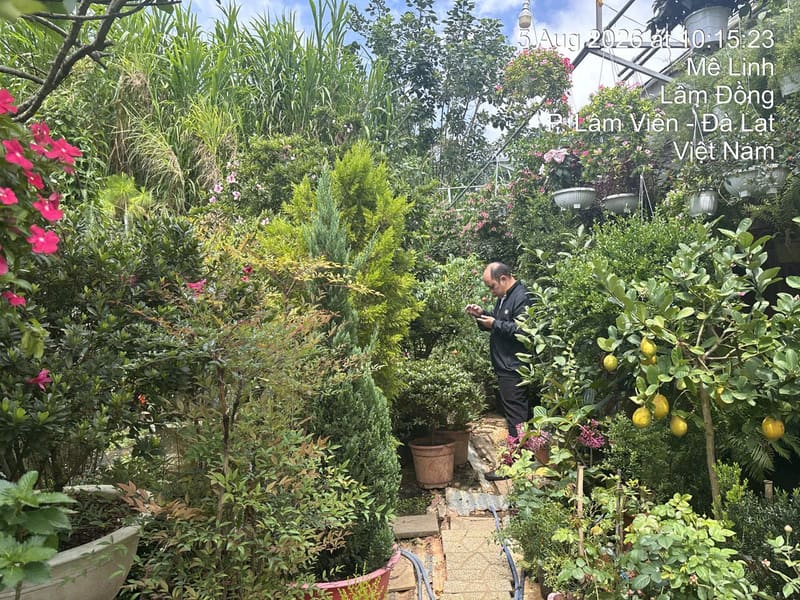 Bán BĐS tại 03 đường Mê Linh, phường 9, thành phố Đà Lạt, tỉnh Lâm Đồng (nay là phường Lâm Viên – Đà Lạt, Tỉnh Lâm Đồng) — ảnh 4 trên 8