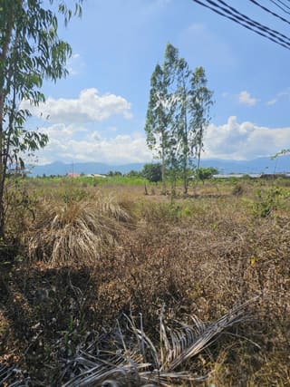 Xem ảnh 3