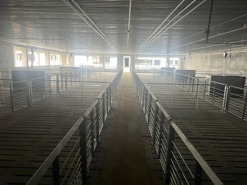 Bán đất và tài sản gắn liền với đất tại xã Tân Lập, huyện Tân Biên, tỉnh Tây Ninh — ảnh 11 trên 20