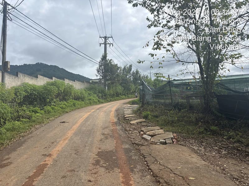 Bán BĐs tại Lạc Dương, Lâm Đồng — ảnh 4 trên 9