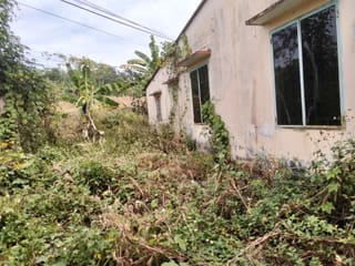 Xem ảnh 3