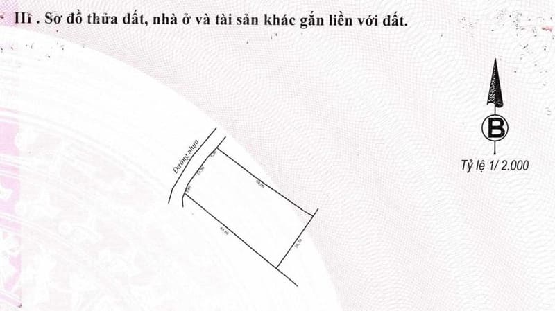 Bán BĐs tại Lạc Dương, Lâm Đồng — ảnh 9 trên 9