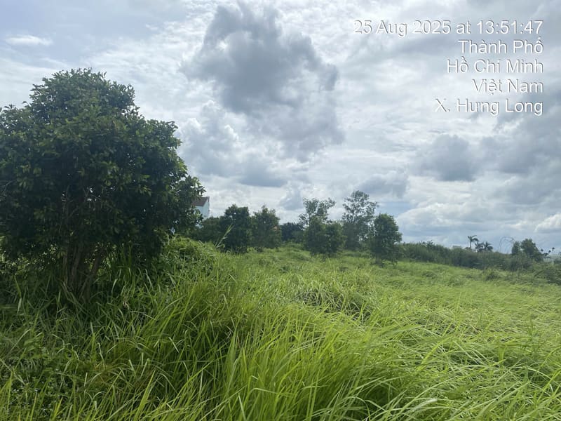TS615_Bán đất tại Huyện Bình Chánh, Thành phố Hồ Chí Minh — ảnh 3 trên 4