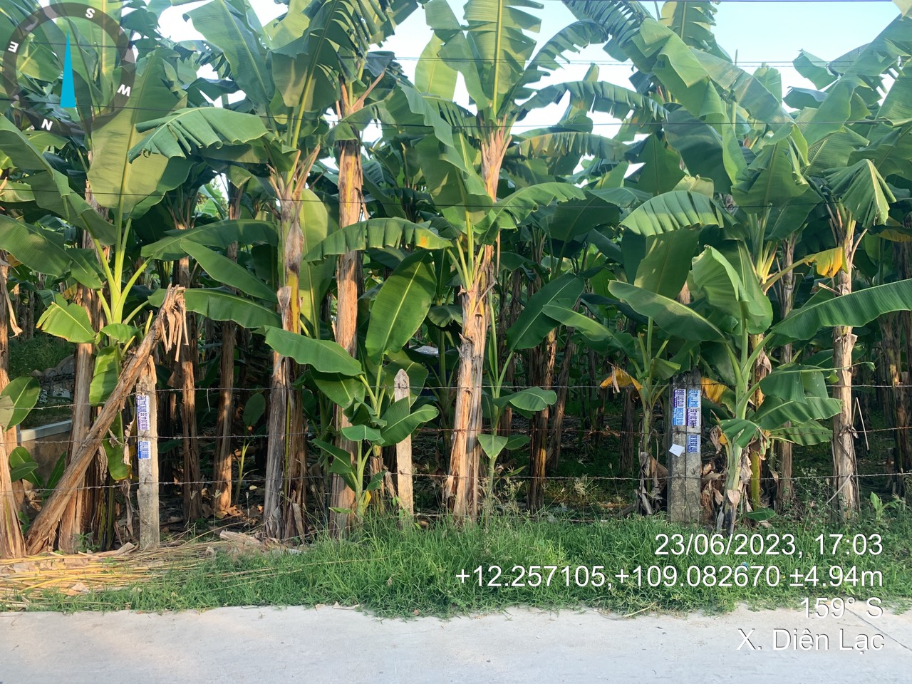 149 - HOT: Bán đất phân lô giá rẻ tại xã Diên Lạc, huyện Diên Khánh, tỉnh Khánh Hòa