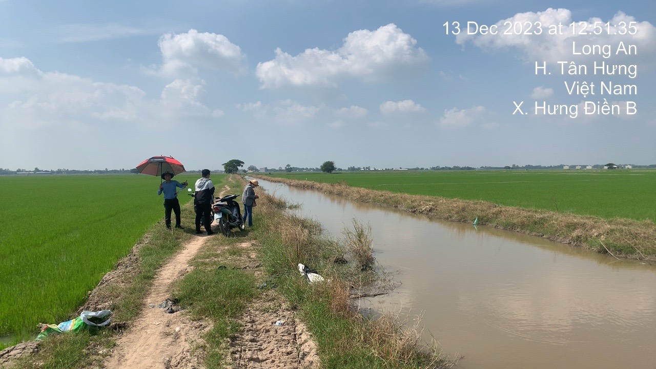 284-Bán tài sản 31  thửa  đất tại xã Hưng Điền B,huyện Tân Hưng,tỉnh Long An