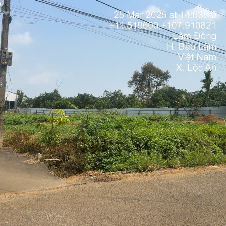 494-Bán đất tại xã Lộc An, huyện Bảo Lâm