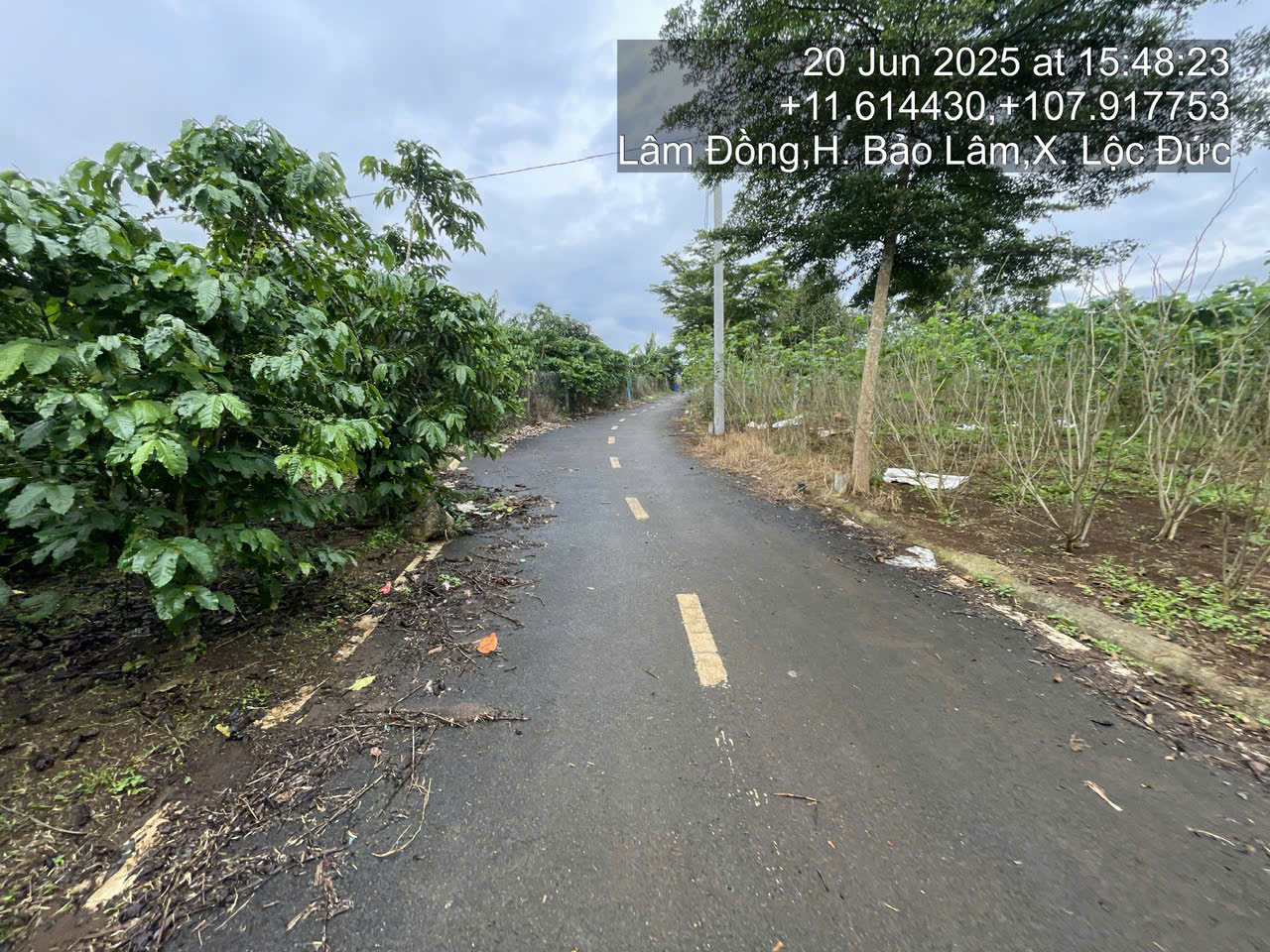 609- Bán 06 lô đất nên xã Lộc Đức, tỉnh Lâm Đồng,