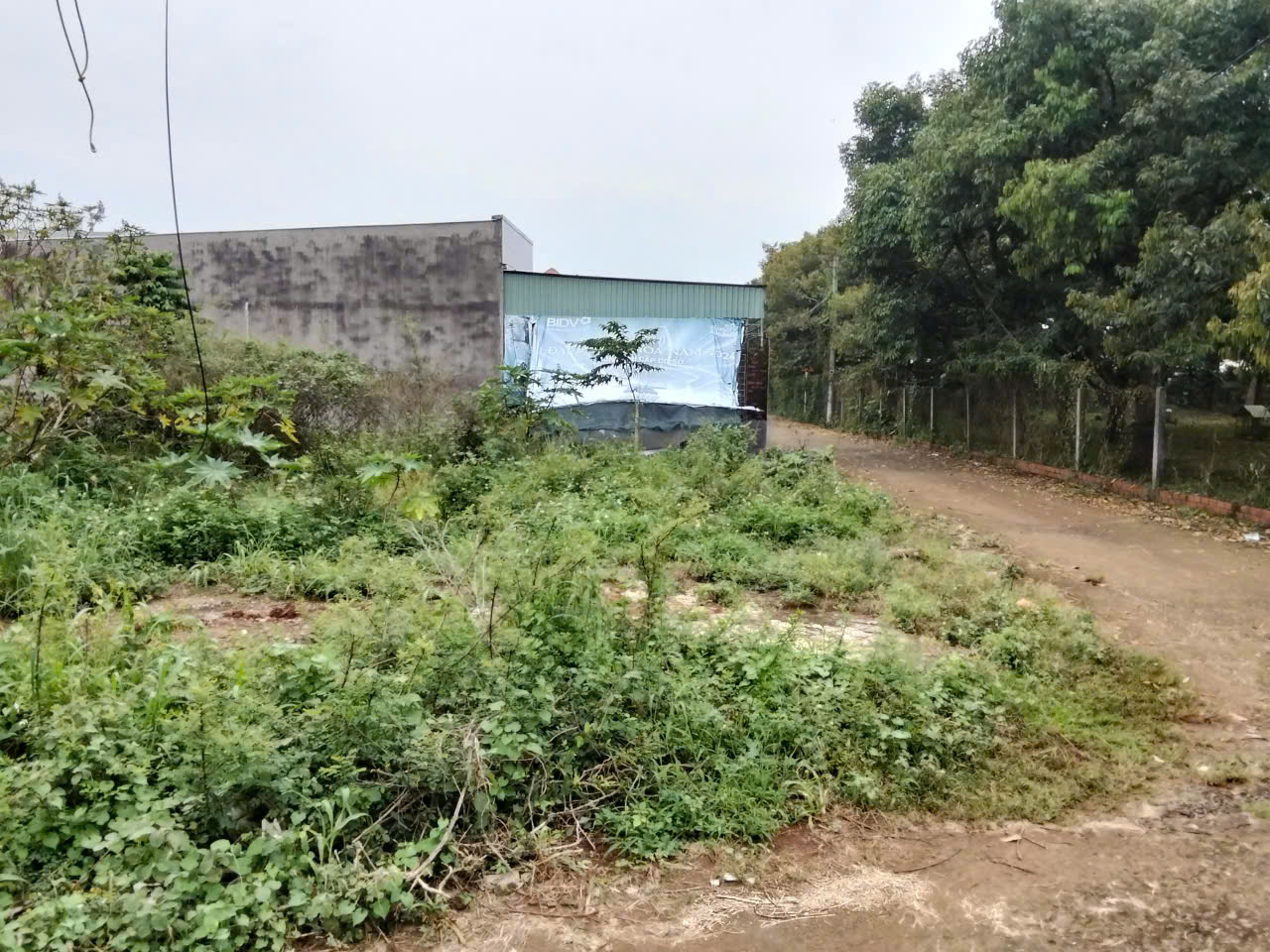 625-Bán tài sản tại xã Hòa Long, Tp Bà Rịa, tỉnh Bà Rịa Vũng Tàu