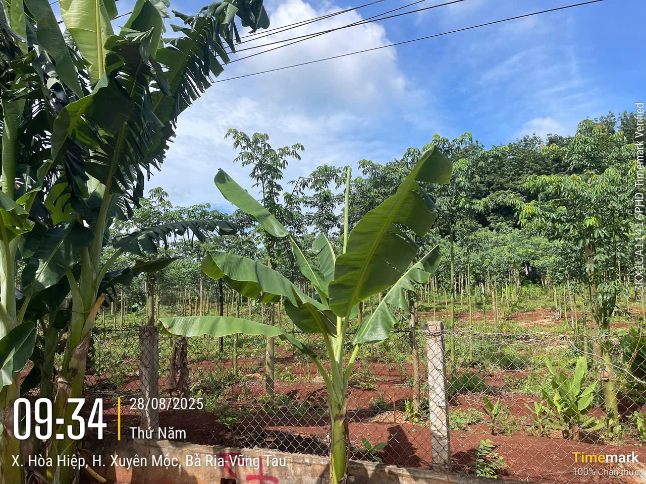 620-Bán TS tại Xã Hòa Hiệp huyên Xuyên Môc tỉnh Bà Rịa - Vũng Tàu