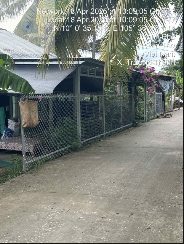 640- Bán tài sản tại ấp Trường Tây, xã Trường Thành, huyện Cờ Đỏ, TP Cần Thơ