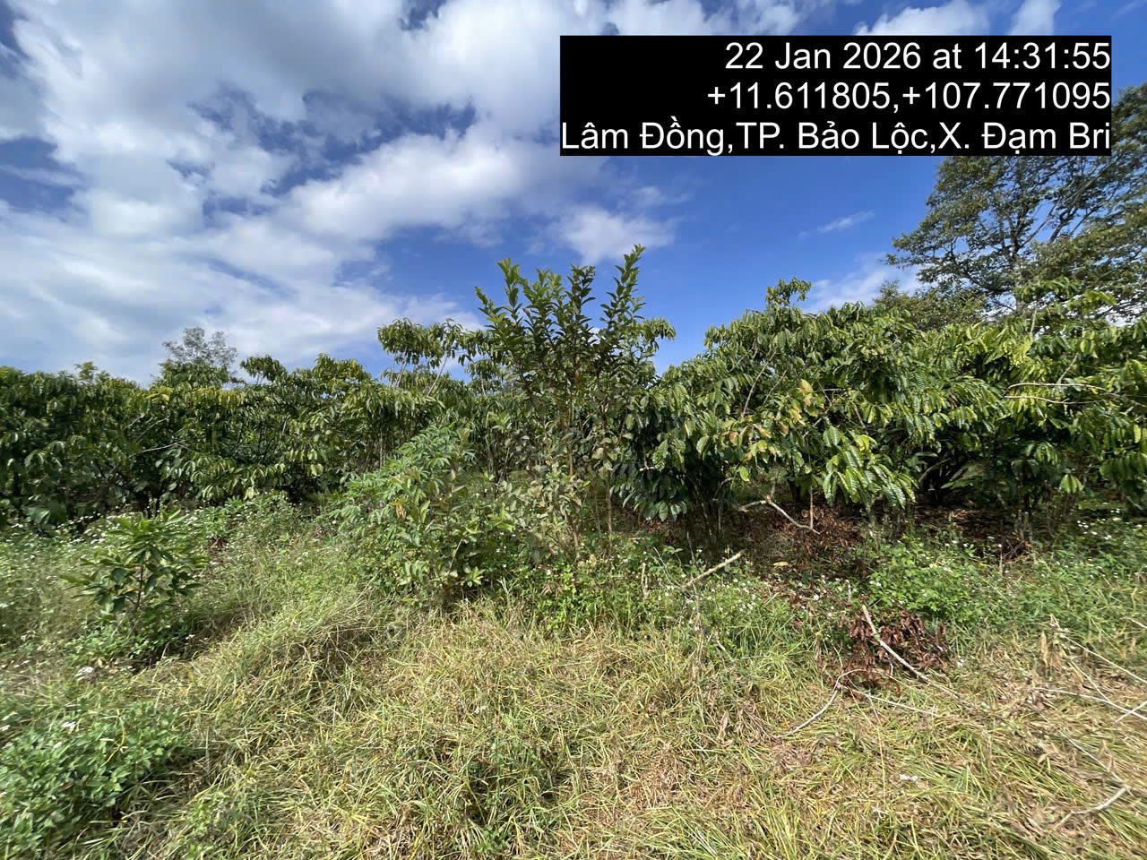 634-Bán đất tại phường 2 Bảo Lộc - Lâm Đồng