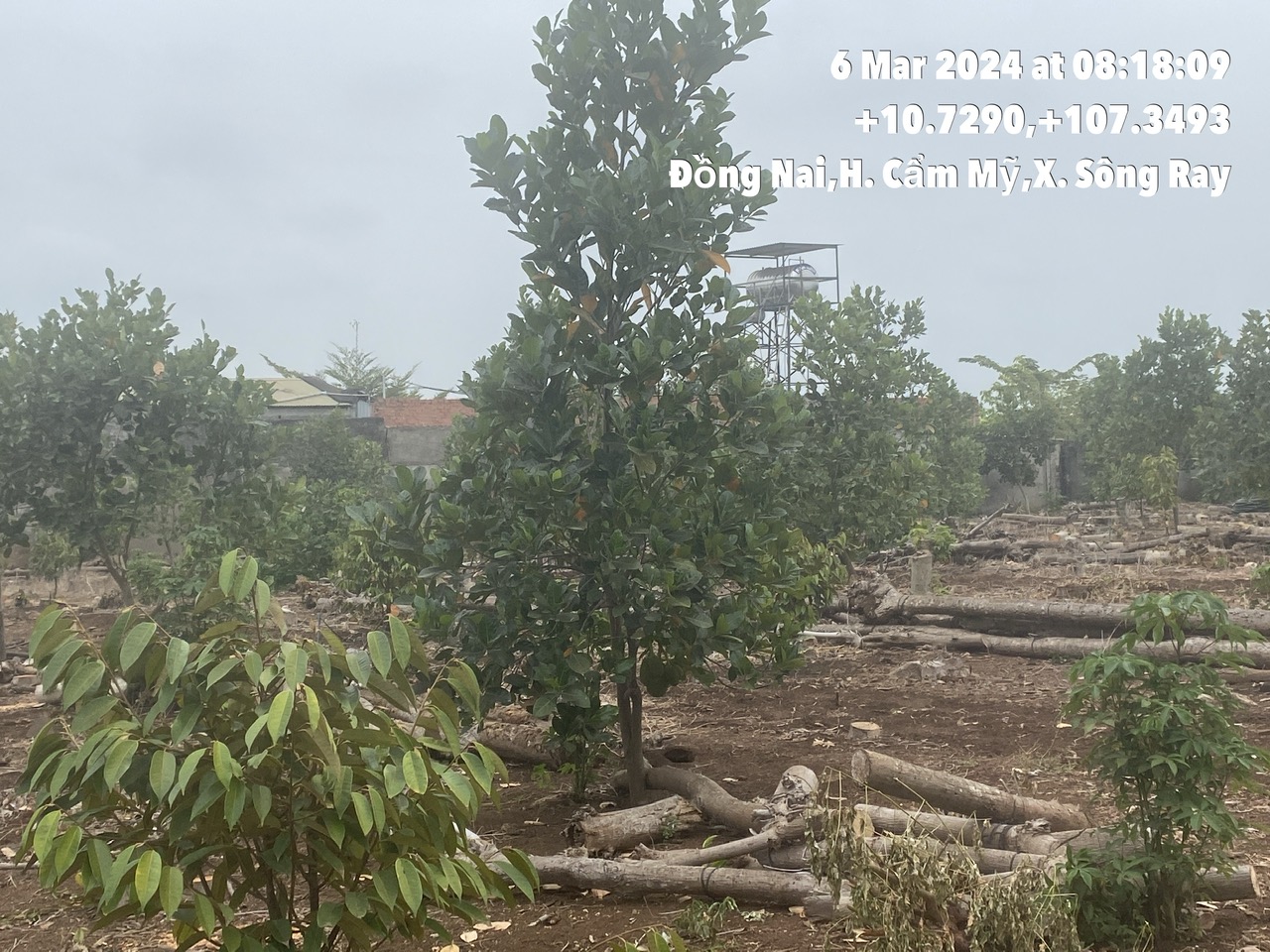 Bán BĐS tại Ấp 4, xã Sông Ray, huyện Cẩm Mỹ, tỉnh Đồng Nai
