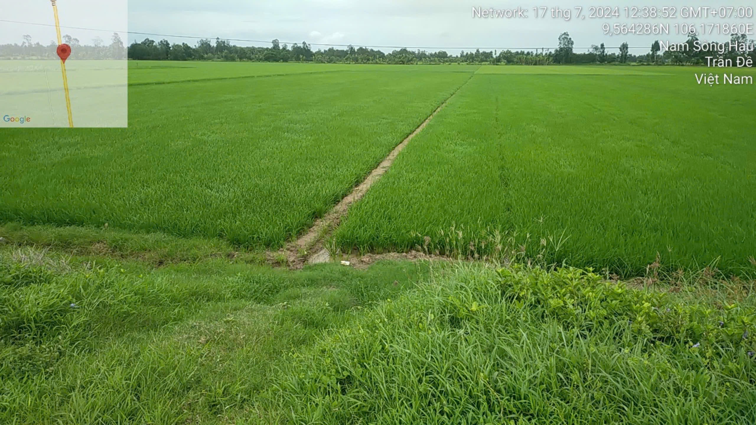 Bán tài sản tại ấp Thanh Liêm, xã Đại Ân 2, huyện Trần Đề, tỉnh Sóc Trăng