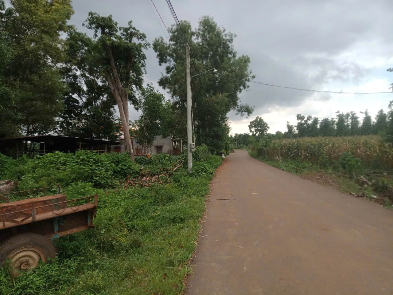 Xã Sơn Bình, huyện Châu Đức tỉnh Bà Rịa Vũng Tàu